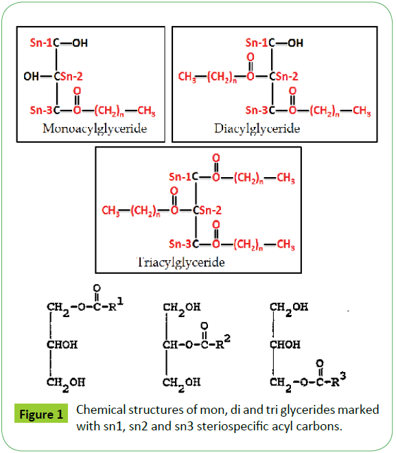 Scientific-Industrial-Metrology-steriospecific-acyl-carbons